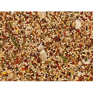 Higgins Sunburst Gourmet Blend Birdseed & Grains Parakeet & Budgie Bird Food, 2-lb bag