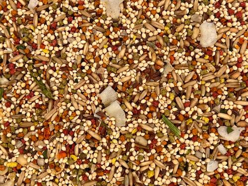 Show full view: Higgins Sunburst Gourmet Blend Birdseed & Grains Parakeet & Budgie Bird Food, 2-lb bag slide 2 of 6
