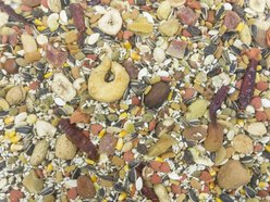 Higgins Sunburst Gourmet Blend Birdseed & Nuts Macaw Bird Food, 3-lb bag  slide 2 of 5