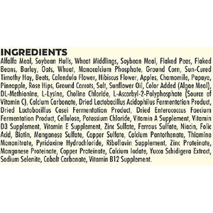 Higgins Sunburst Gourmet Blend Chinchilla Food, 3-lb bag