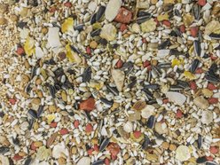 Higgins Sunburst Gourmet Blend Conure Bird Food, 25-lb bag slide 2 of 5