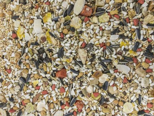 Show full view: Higgins Sunburst Gourmet Blend Conure Bird Food, 3-lb bag slide 3 of 7