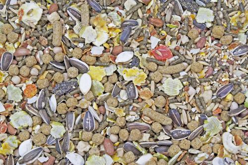 Show full view: Higgins Sunburst Gourmet Blend Gerbil & Hamster Food, 25-lb bag slide 3 of 8