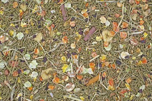 Show full view: Higgins Sunburst Gourmet Blend Guinea Pig Food, 25-lb bag slide 3 of 6