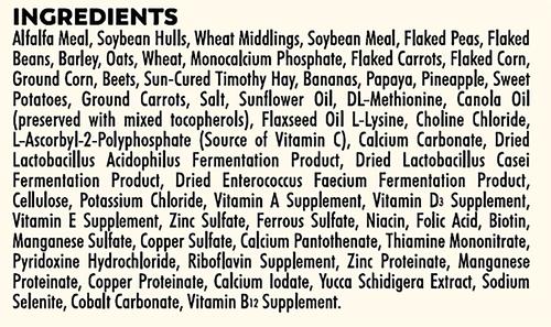 Show full view: Higgins Sunburst Gourmet Blend Guinea Pig Food, 6-lb bag slide 7 of 9