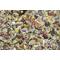 Show in main carousel: Higgins Sunburst Gourmet Blend Parrot Bird Food, 25-lb bag slide 2 of 6