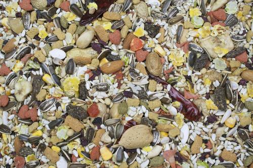 Show full view: Higgins Sunburst Gourmet Blend Parrot Bird Food, 3-lb bag slide 3 of 7