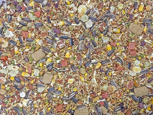 Show full view: Higgins Sunburst Gourmet Blend Rat & Mouse Food, 2.5-lb bag slide 3 of 8