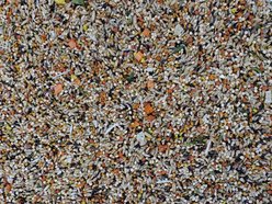 Higgins Sunburst Gourmet BlendBird Seed & Grains Canary & Finch Bird Food, 2-lb bag slide 2 of 8