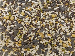 Higgins Sunburst Gourmet Soak N' Sprout Bird Treats, 3-oz bag slide 2 of 5
