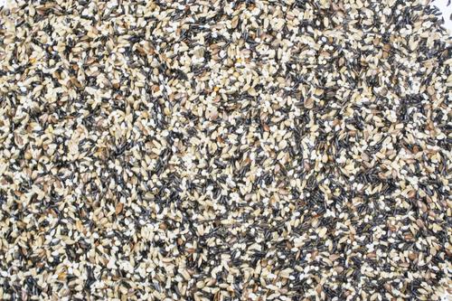 Show full view: Higgins Sunburst Gourmet Song Food Bird Treats, 3-oz bag slide 2 of 6