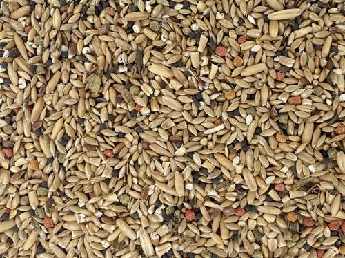 Show full view: Higgins Vita Seed Canary Bird Food, 25-lb bag slide 3 of 8