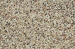 Higgins Vita Seed Canary Bird Food, 2-lb bag slide 2 of 5