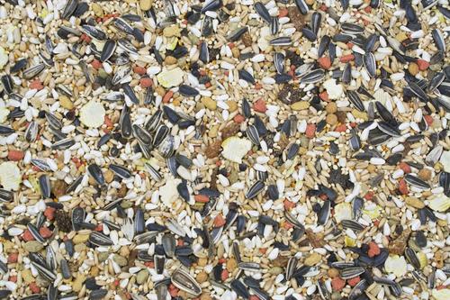 Show full view: Higgins Vita Seed Cockatiel Bird Food, 5-lb bag slide 2 of 6