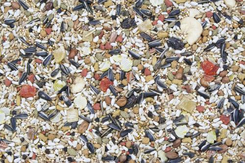 Show full view: Higgins Vita Seed Conure & Lovebird Bird Food, 2.5-lb bag slide 2 of 5