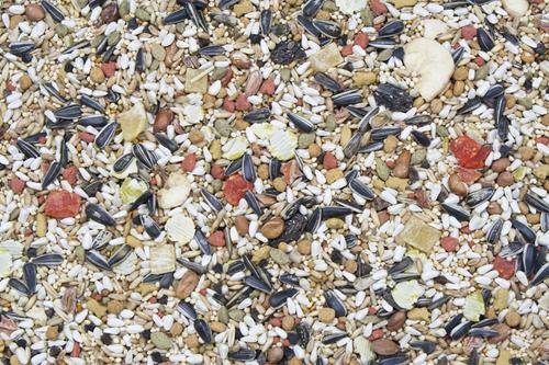 Show full view: Higgins Vita Seed Conure & Lovebird Bird Food, 25-lb bag slide 3 of 8