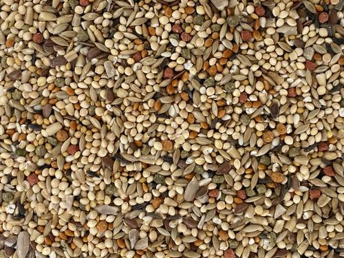 Show full view: Higgins Vita Seed Finch Bird Food, 25-lb bag slide 3 of 8