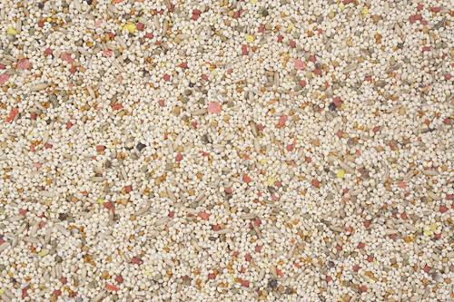 Show full view: Higgins Vita Seed Parakeet Bird Food, 5-lb bag slide 3 of 7