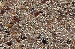 Higgins Worldly Cuisines African Sunset Bird Treats, 13-oz bag slide 2 of 4