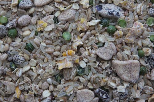 Show full view: Higgins Worldly Cuisines Creamy Zen Bird Treats, 13-oz bag slide 2 of 8