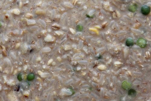 Show full view: Higgins Worldly Cuisines Creamy Zen Bird Treats, 2-oz bag slide 3 of 5