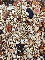 Higgins Worldly Cuisines Spice Market Bird Treats, 13-oz bag slide 2 of 7