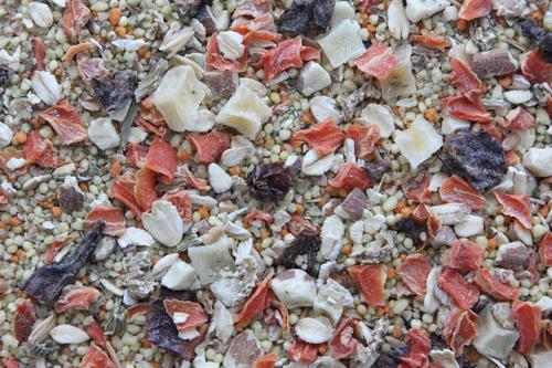 Show full view: Higgins Worldly Cuisines Tuscan Dream Bird Treats, 13-oz bag slide 2 of 8