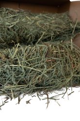 High Desert Small Animal Feed Timothy Hay 2nd Crop Small Animal Food, 4-lb box slide 2 of 4