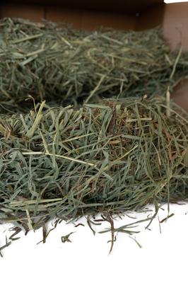 Show full view: High Desert Small Animal Feed Timothy Hay 2nd Crop Small Animal Food, 4-lb box slide 3 of 5