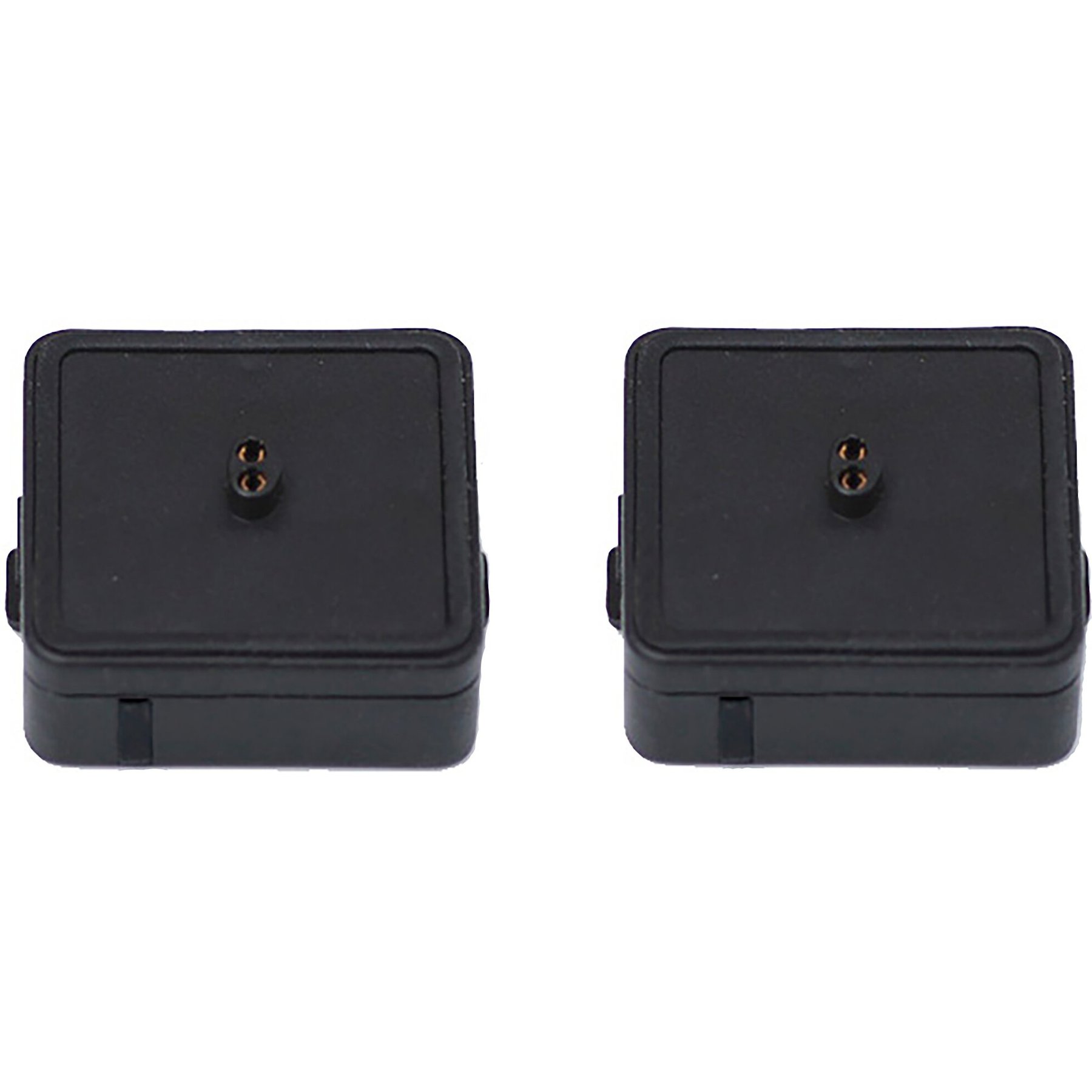 High Tech Pet Products B-3V8 Electronic Fence RC-8 Dog Collar Battery, 2 count