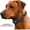 Show in main carousel: High Tech Pet Products Bluefang Dog Collar Replacement Batteries, Blue, 2 count slide 3 of 4