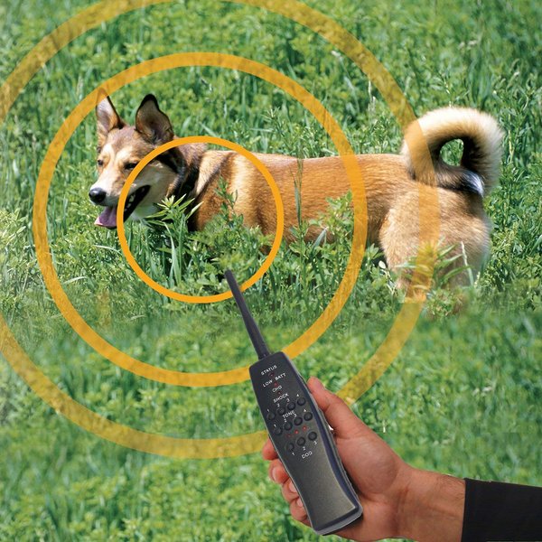 Show full view: High Tech Pet Products ET-1 "Express Train" Electronic Radio Dog Training Collar slide 4 of 6