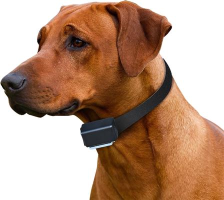 Show full view: High Tech Pet Products ET-1 "Express Train" Electronic Radio Dog Training Collar slide 6 of 6