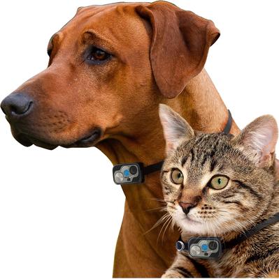 Show full view: High Tech Pet Products WiFi Enabled Smartphone Controlled Automatic Dog & Cat Door, Medium slide 3 of 10