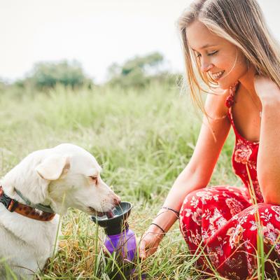 Show full view: Highwave AutoDogMug Portable Dog Water Bottle & Bowl, 20-oz bottle, Purple slide 4 of 9