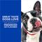 Show in main carousel: Hill's Natural Baked Light Biscuits with Real Chicken Dog Treats, 8-oz bag, 6 count slide 6 of 10