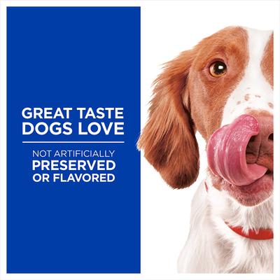 Show full view: Hill's Natural Fruity Snacks with Apples & Oatmeal Crunchy Dog Treats, 8-oz bag slide 9 of 12