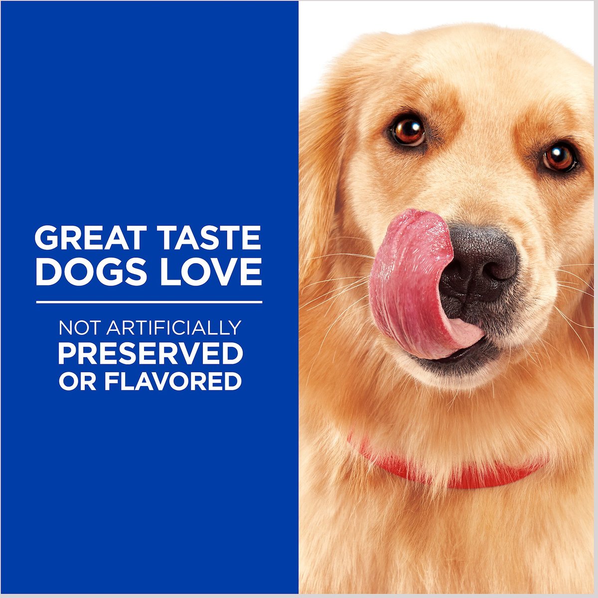 Natural Balance Healthy Bones Turkey, Oatmeal & Cranberry Dog Treats