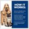 Show in main carousel: Hill's Prescription Diet a/d Urgent Care with Chicken Wet Dog & Cat Food, 5.5-oz, case of 24 slide 7 of 13