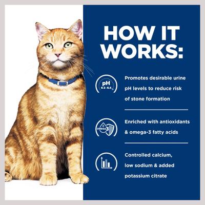 Show full view: Hill's Prescription Diet c/d Multicare Urinary Care with Chicken Wet Cat Food, 5.5-oz, case of 24 slide 8 of 13