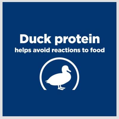 Show full view: Hill's Prescription Diet d/d Skin/Food Sensitivities Duck Formula Wet Dog Food, 13-oz can, case of 12 slide 4 of 13