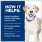 Show in main carousel: Hill's Prescription Diet d/d Skin/Food Sensitivities Duck Formula Wet Dog Food, 13-oz can, case of 12 slide 5 of 13