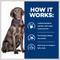 Show in main carousel: Hill's Prescription Diet d/d Skin/Food Sensitivities Potato & Venison Dry Dog Food, 25-lb bag slide 7 of 13