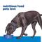 Show in main carousel: Hill's Prescription Diet d/d Skin/Food Sensitivities Potato & Venison Dry Dog Food, 25-lb bag slide 8 of 13