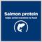 Show in main carousel: Hill's Prescription Diet d/d Skin/Food Sensitivities Salmon Formula Wet Dog Food, 13-oz can, case of 12 slide 4 of 13