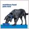 Show in main carousel: Hill's Prescription Diet d/d Skin/Food Sensitivities Salmon Formula Wet Dog Food, 13-oz can, case of 12 slide 9 of 13