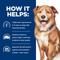Show in main carousel: Hill's Prescription Diet Derm Complete Dry Dog Food, 24-lb bag slide 5 of 11