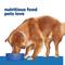 Show in main carousel: Hill's Prescription Diet Derm Complete Original Flavor Wet Dog Food, 13-oz, case of 12 slide 4 of 10