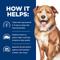 Show in main carousel: Hill's Prescription Diet Derm Complete Original Flavor Wet Dog Food, 13-oz, case of 12 slide 6 of 10