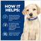 Show in main carousel: Hill's Prescription Diet Derm Complete Puppy Environmental/Food Sensitivities Rice & Egg Recipe Dry Dog Food, 14.3-lb bag slide 7 of 11